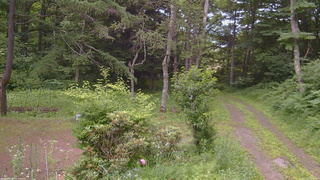 長野県菅平高原 ゆたか山荘 坂上 2026/07/12 18:00