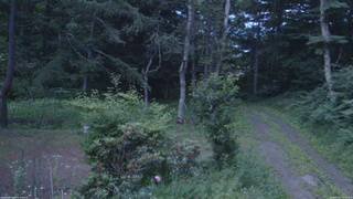長野県菅平高原 ゆたか山荘 坂上 2026/07/12 19:15