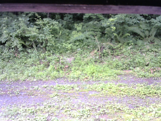 長野県菅平高原 ゆたか山荘 東側(坂下) 2026/07/13 09:15