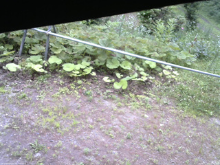 長野県菅平高原 ゆたか山荘 駐車場 2026/07/13 07:30