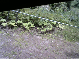 長野県菅平高原 ゆたか山荘 駐車場 2026/07/13 11:15