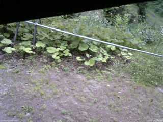 長野県菅平高原 ゆたか山荘 駐車場 2026/07/13 12:15