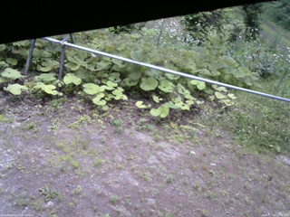 長野県菅平高原 ゆたか山荘 駐車場 2026/07/13 12:30