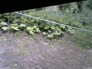 長野県菅平高原 ゆたか山荘 駐車場 2026/07/13 12:45
