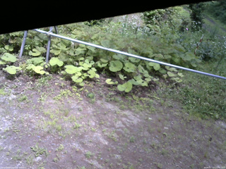 長野県菅平高原 ゆたか山荘 駐車場 2026/07/13 13:45