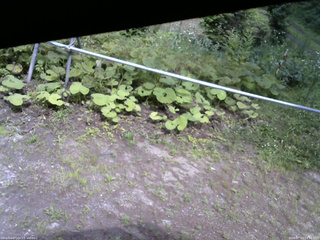 長野県菅平高原 ゆたか山荘 駐車場 2026/07/13 14:30