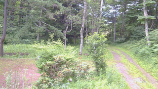 長野県菅平高原 ゆたか山荘 坂上 2026/07/13 05:30