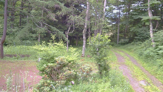 長野県菅平高原 ゆたか山荘 坂上 2026/07/13 05:45