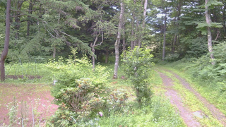 長野県菅平高原 ゆたか山荘 坂上 2026/07/13 06:15