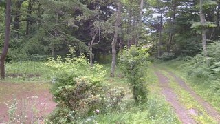 長野県菅平高原 ゆたか山荘 坂上 2026/07/13 07:00
