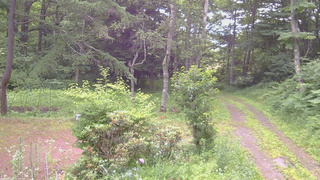 長野県菅平高原 ゆたか山荘 坂上 2026/07/13 07:30