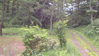 長野県菅平高原 ゆたか山荘 坂上 2026/07/13 07:45