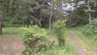 長野県菅平高原 ゆたか山荘 坂上 2026/07/13 08:00