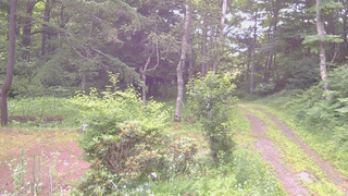 長野県菅平高原 ゆたか山荘 坂上 2026/07/13 08:15