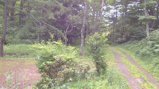 長野県菅平高原 ゆたか山荘 坂上 2026/07/13 08:30