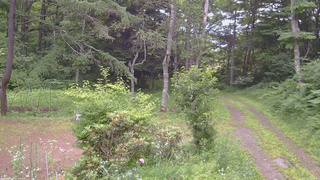 長野県菅平高原 ゆたか山荘 坂上 2026/07/13 08:45