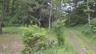 長野県菅平高原 ゆたか山荘 坂上 2026/07/13 09:00