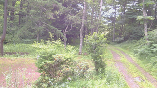長野県菅平高原 ゆたか山荘 坂上 2026/07/13 09:15