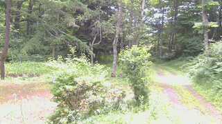 長野県菅平高原 ゆたか山荘 坂上 2026/07/13 09:30