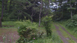 長野県菅平高原 ゆたか山荘 坂上 2026/07/13 10:00