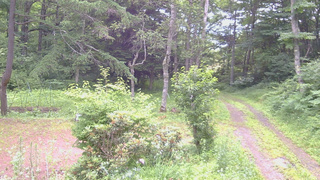 長野県菅平高原 ゆたか山荘 坂上 2026/07/13 10:30