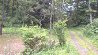 長野県菅平高原 ゆたか山荘 坂上 2026/07/13 10:45