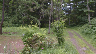 長野県菅平高原 ゆたか山荘 坂上 2026/07/13 11:00