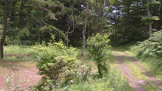 長野県菅平高原 ゆたか山荘 坂上 2026/07/13 11:15