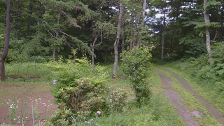 長野県菅平高原 ゆたか山荘 坂上 2026/07/13 11:30