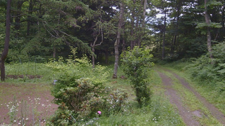 長野県菅平高原 ゆたか山荘 坂上 2026/07/13 11:45