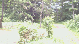 長野県菅平高原 ゆたか山荘 坂上 2026/07/13 12:00