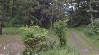 長野県菅平高原 ゆたか山荘 坂上 2026/07/13 12:15