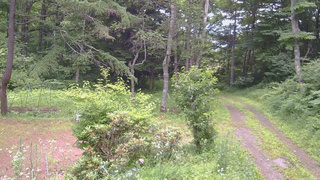 長野県菅平高原 ゆたか山荘 坂上 2026/07/13 12:30