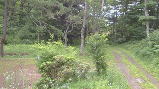 長野県菅平高原 ゆたか山荘 坂上 2026/07/13 13:00