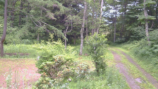 長野県菅平高原 ゆたか山荘 坂上 2026/07/13 13:15