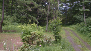 長野県菅平高原 ゆたか山荘 坂上 2026/07/13 13:30