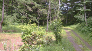 長野県菅平高原 ゆたか山荘 坂上 2026/07/13 13:45