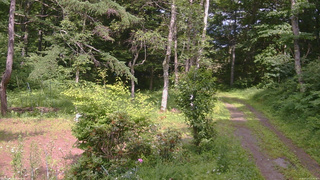 長野県菅平高原 ゆたか山荘 坂上 2026/07/13 14:15