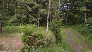 長野県菅平高原 ゆたか山荘 坂上 2026/07/13 15:00