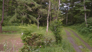 長野県菅平高原 ゆたか山荘 坂上 2026/07/13 15:15