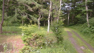 長野県菅平高原 ゆたか山荘 坂上 2026/07/13 15:45