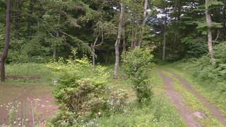 長野県菅平高原 ゆたか山荘 坂上 2026/07/13 16:15