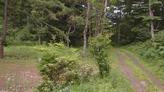 長野県菅平高原 ゆたか山荘 坂上 2026/07/13 16:30