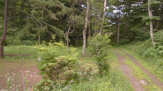 長野県菅平高原 ゆたか山荘 坂上 2026/07/13 16:45