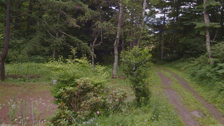 長野県菅平高原 ゆたか山荘 坂上 2026/07/13 17:00