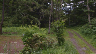 長野県菅平高原 ゆたか山荘 坂上 2026/07/13 17:15