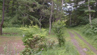 長野県菅平高原 ゆたか山荘 坂上 2026/07/13 17:30