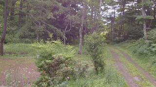 長野県菅平高原 ゆたか山荘 坂上 2026/07/13 17:45