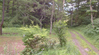 長野県菅平高原 ゆたか山荘 坂上 2026/07/13 18:00