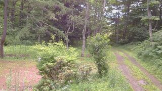 長野県菅平高原 ゆたか山荘 坂上 2026/07/13 18:15